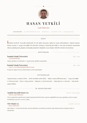 Havacılık Ve Uzay Uçak Mühendisi Cv Örnekleri cv indir